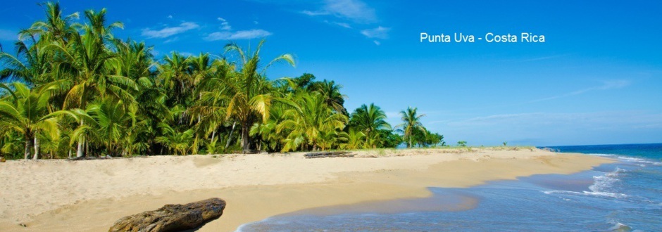 Condor Verde – DMC Costa Rica