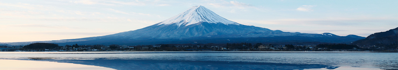 DMC Japan- Kintetsu