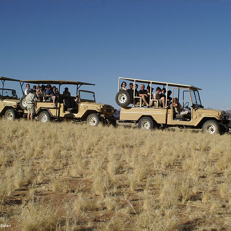 Abenteuer Afrika Safari DMC