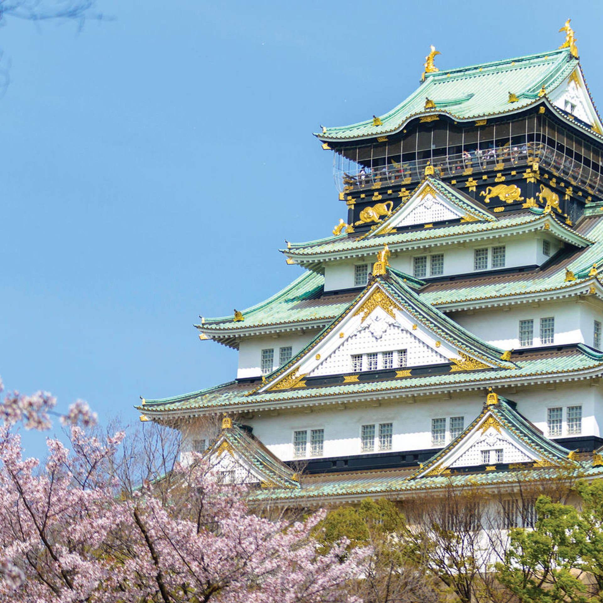 Beauty Of Japan Tours