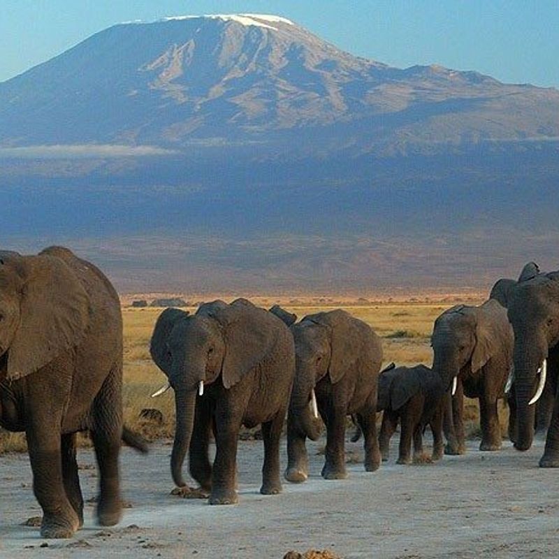 Destination Kenya
