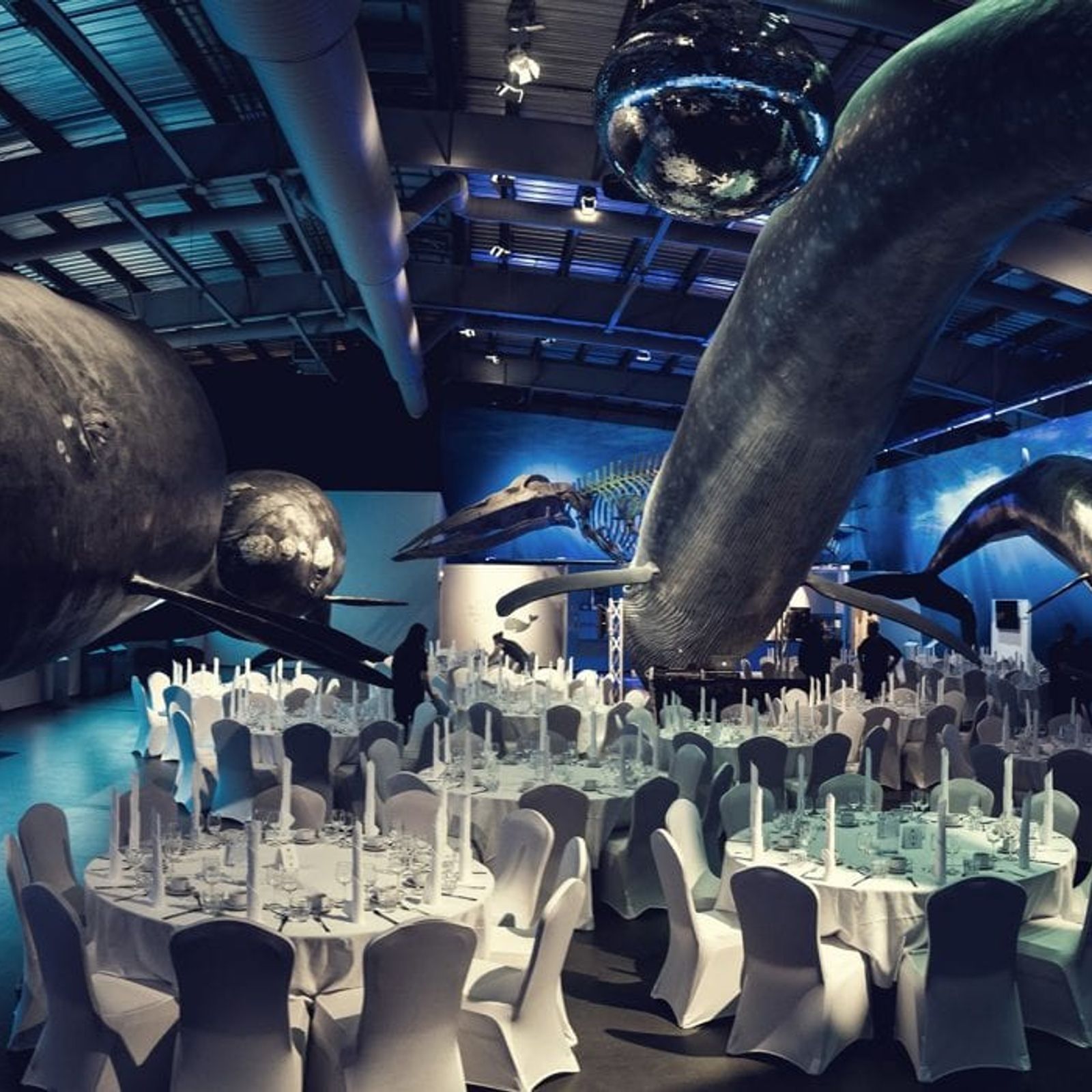 g-events dmc | pco