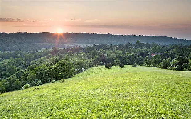 Destination Surrey