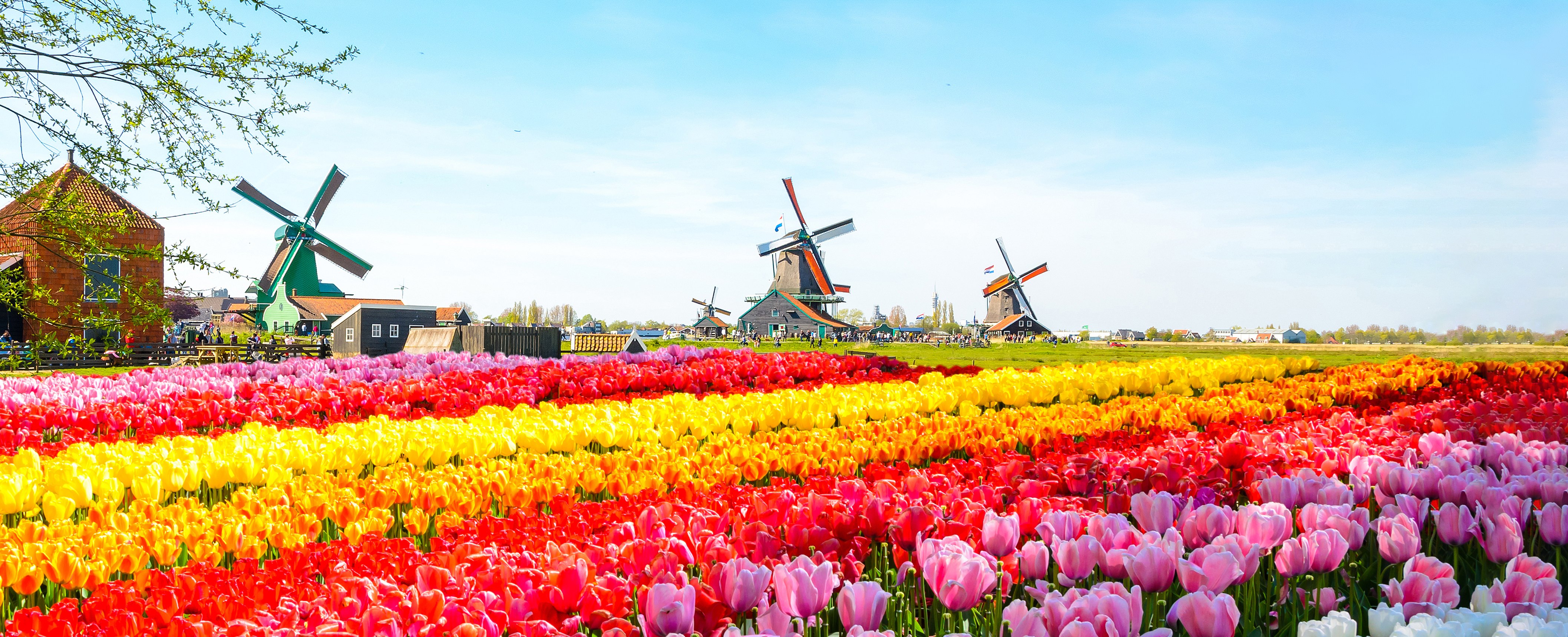 Netherlands Board of Tourism & Conventions