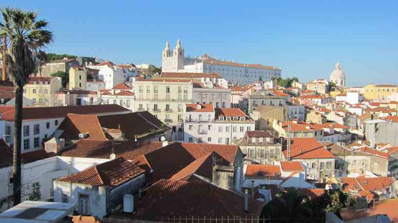 Buzz Portugal DMC
