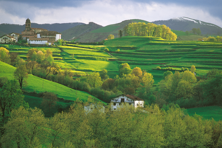 Basque DMCs
