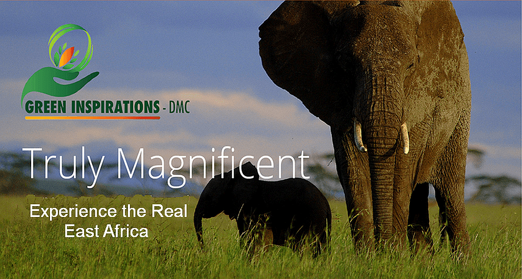 Green Inspirations-DMC