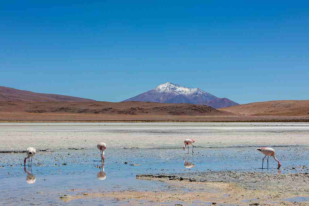Condor Travel – Bolivia