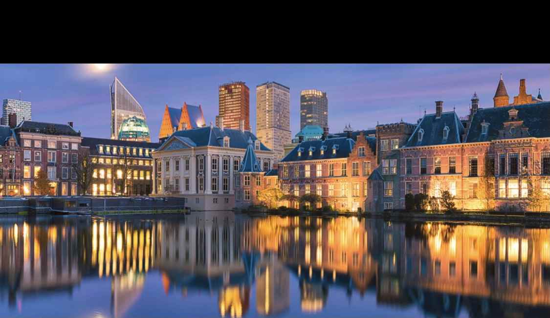 DMC The Hague