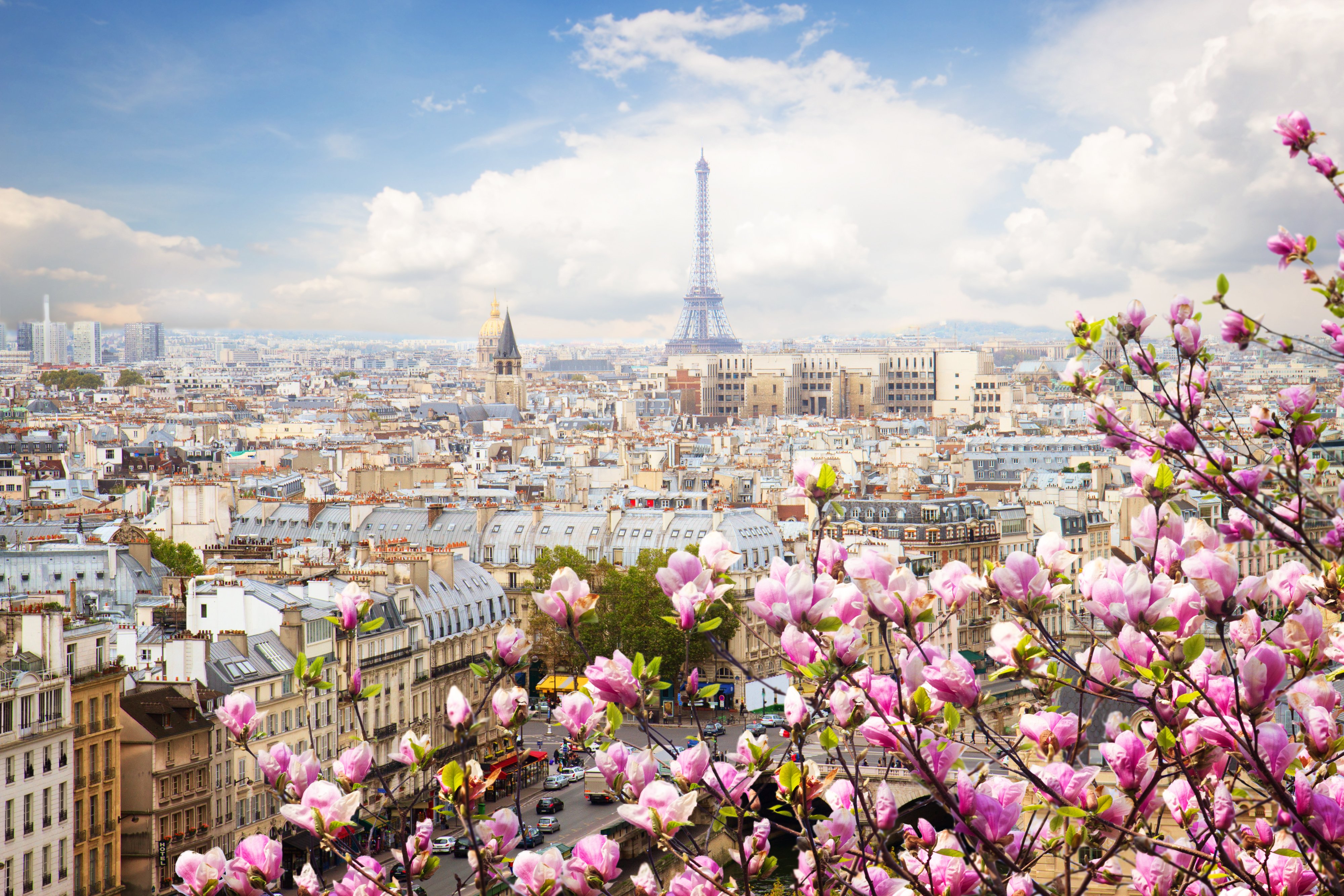 France Convention Bureau in UK & Ireland