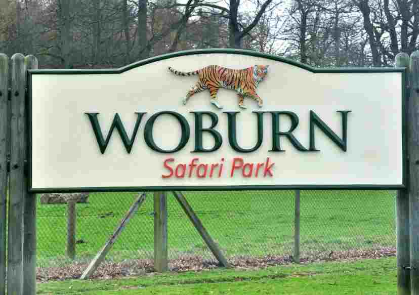 woburn safari park owner