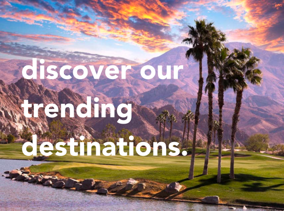 discover trending destinations