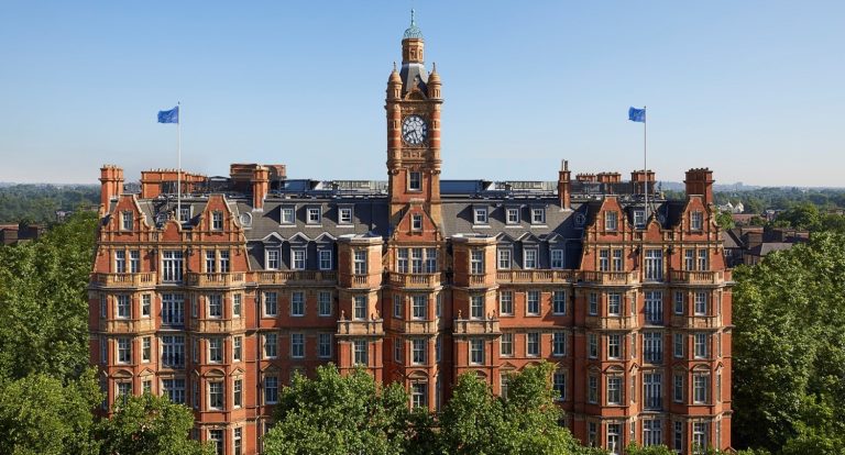 Vine Tree Connections